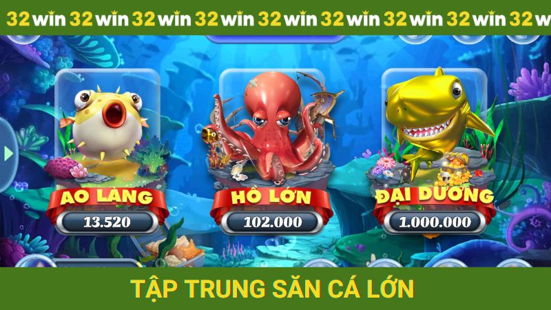 Tập trung để săn cá lớn