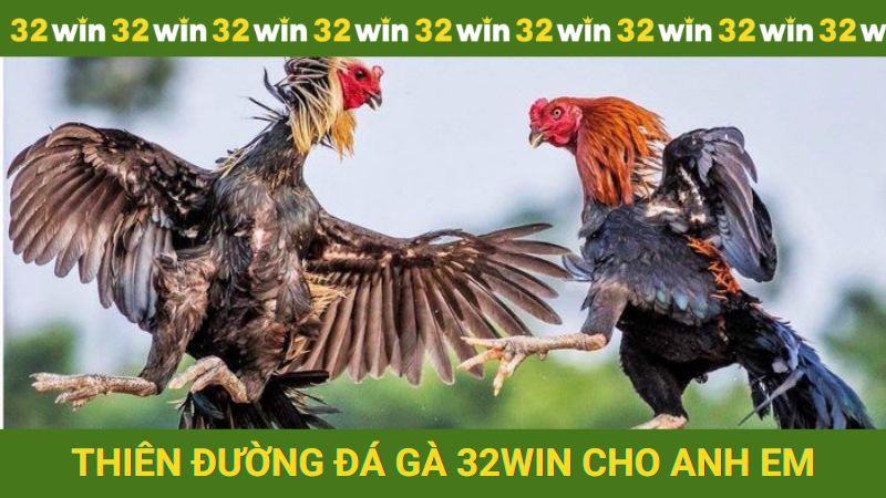 Khám phá thiên đường Đá gà 32win ăn khách nhất