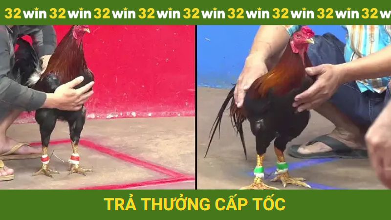 Trả thưởng cấp tốc sau mỗi ván chơi